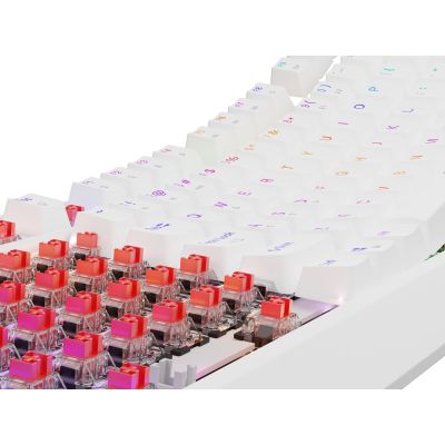 14. GENESIS Thor 230 TKL Gaming-Tastatur, USB, QWERTY, US-Englisch, Weiß