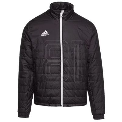 Adidas Leichte Jacke Entrada 22 Jr IB6069
