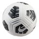Nike Club Elite Teamball FZ7544-100