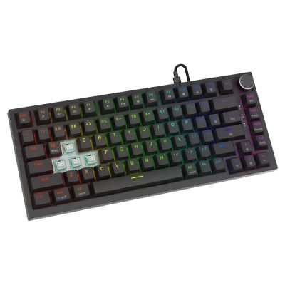 8. SAVIO MAGNETISCHE TASTATUR ASTRAL SCHWARZ OUTEMU WEISS JADE RGB