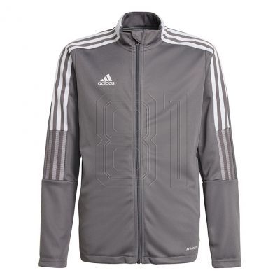 Adidas Tiro 21 Track Jr GM7311 Sweatshirt