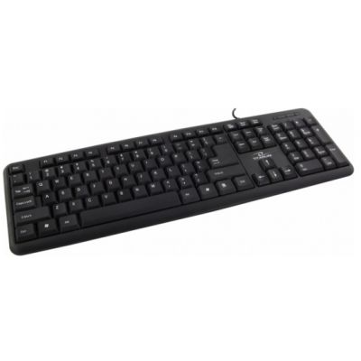 2. TITANUM TK102 Tastatur (PS/2; (US); schwarz)