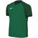 Nike Dri-FIT Trophy VI Kinder-T-Shirt Grün HV8158 302