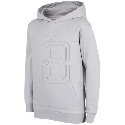 Sweatshirt 4F Jr HJZ22 JBLD003 27S