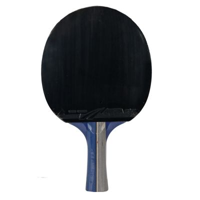 4. Tischtennisschläger Aurora PRO 2* SG 2002