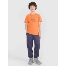 Jogginghose für Jungen 4F 4FJWSS25TTROM0964-22S