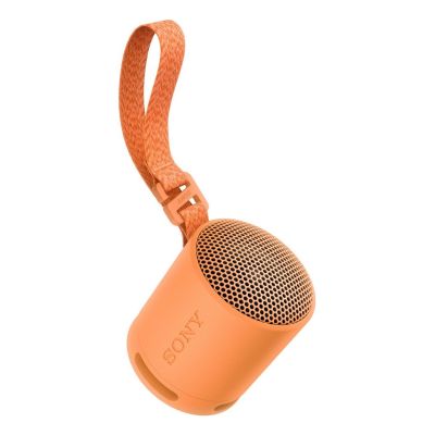2. Sony SRS-XB100 Tragbarer Mono-Lautsprecher Orange