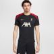 2. Nike Liverpool FC Strike SS Top M FN9838-013