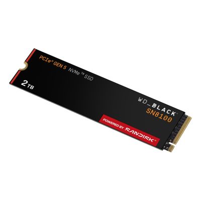 13. SSD WD Black SN8100 ohne HS 2TB WDS200T1X0M