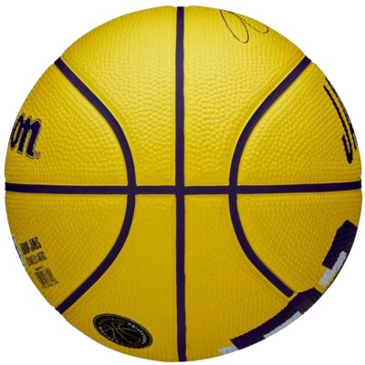 2. Wilson NBA Player Icon LeBron James Miniball WZ4027701XB Basketball