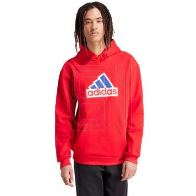 8. Adidas FI Bos Hd Oly M sweatshirt IS8338