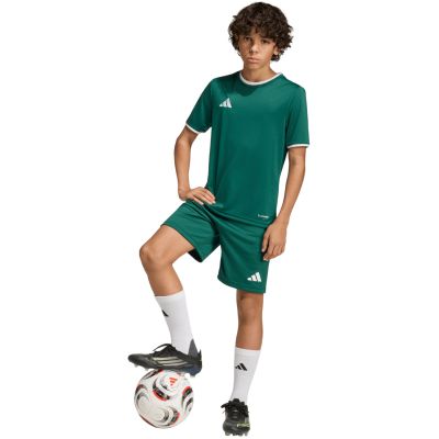 6. adidas Entrada 26 Kinder-Shorts grün KE9831
