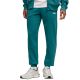 Puma Ess 2 Color No. 1 Logo Herrenhose Grün 684714 41