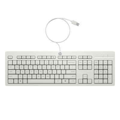 10. HP Kabelgebundenes Maus- und Tastatur-Set 225