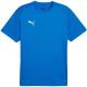 3. Puma TeamGoal Herren-Trikot blau 658636 02