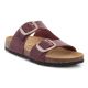 BIO BIO DAENA LAND RIOJA 261-780483-56