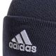 4. adidas Logo Woolie HL Cap HL4809