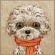 8. Nimmy Big Eyed Pet 2.0 Hundehülle für iPhone 17 - Beige