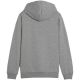2. Puma Team Goal Casuals Hoddy Jr Sweatshirt 658619 33