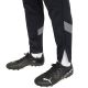 7. Puma teamFinal Trainingshose M 657380 03