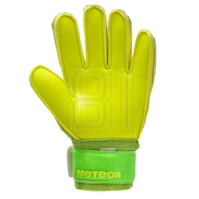 51. Meteor Catch Torwarthandschuhe 03608-03613