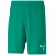 3. Puma teamRISE Shorts M 704942 05