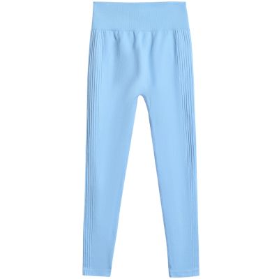 2. 4F FNK F420 Damenleggings blau 4FWSS26TFTIF420 33S