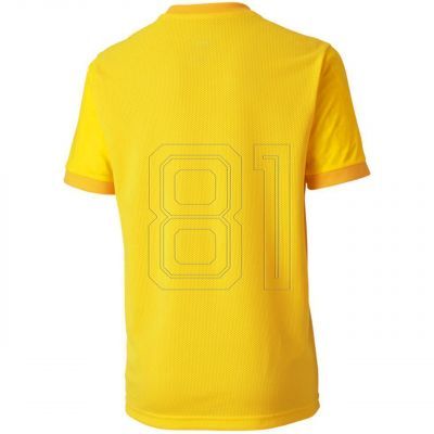 2. Puma teamGOAL 23 Trikot Jr 704160 07
