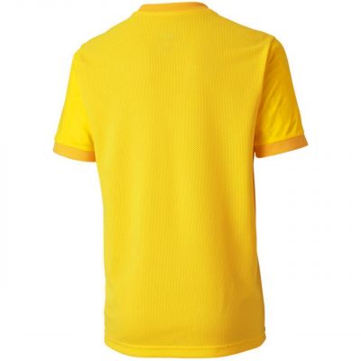 2. Puma teamGOAL 23 Trikot Jr 704160 07