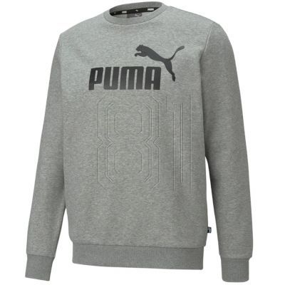 3. Puma ESS Big Logo Crew FL M Sweatshirt 586678 03