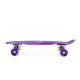 15. Nils Extreme ELECTROSTYLE PENNYBOARD PNB01 RAINBOW Skateboard 
