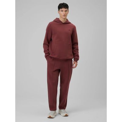5. Herren-Kapuzenpullover, regulär, Größe 4F 4FRSS26TSWSM2793-60S