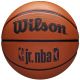 4. Wilson NBA Jr DRV Fam Logo Ball WZ3013001XB Basketball