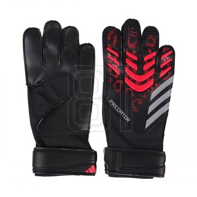 adidas Predator Training M JM6827 Torwarthandschuhe