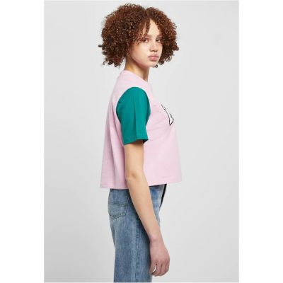 6. Karl Kani T-Shirt Serif Crop Block Tee W 6130859