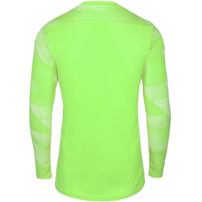 3. Nike Dry Park IV M T-shirt CJ6066-702