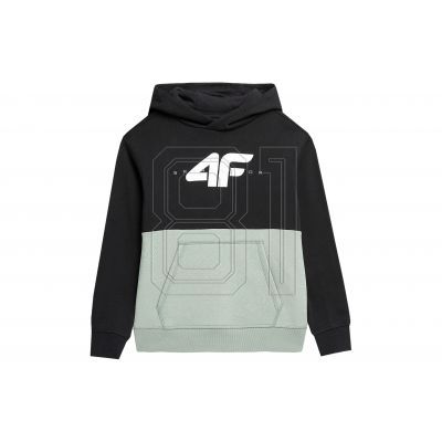 3. Sweatshirt 4F Jr 4FJAW23TSWSM628-47S