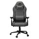 COUGAR CGR-EPF-ROG Universeller Gaming-Stuhl Grau