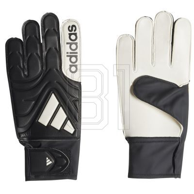 adidas Copa GL Club M Handschuhe JY0625