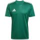 9. Herren adidas Campeon 25 Trikot grün JF6063