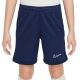 8. Nike Dri Fit Academy 25 Jr Shorts FZ9784 410