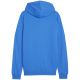 2. Puma Team Goal Casuals Hoody M 658618 02