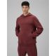 6. Herren-Kapuzenpullover, regulär, Größe 4F 4FRSS26TSWSM2793-60S