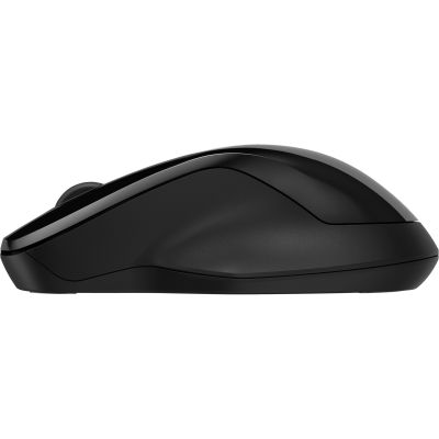 2. HP 250 Dual Mouse Wireless Schwarz 6V2J7AA