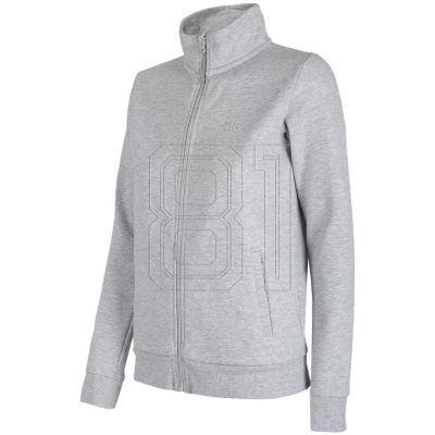 Sweatshirt 4F W H4Z22 BLD351 27M 