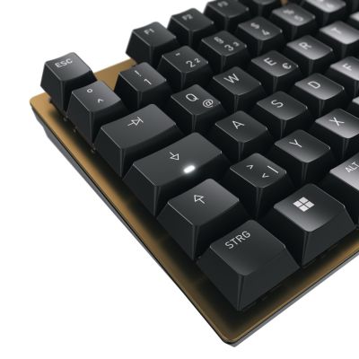 5. CHERRY KC 200 MX Universal-USB-Tastatur QWERTZ Deutsch Schwarz, Braun