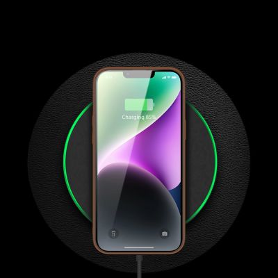 12. Dux Ducis Yolo Apple iPhone 14 Brown