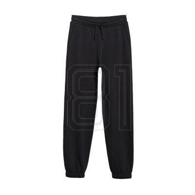 Trousers 4F Jr 4FJWMM00TTROM1188-20S