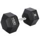 12. HMS HEX PRO 55 KG Hantel