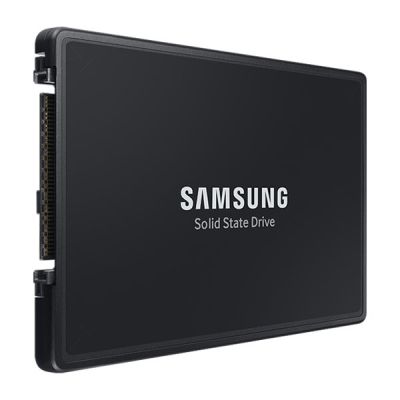 4. Samsung PM9A3 1,92 TB U.2 PCI Express 4.0 Laufwerk